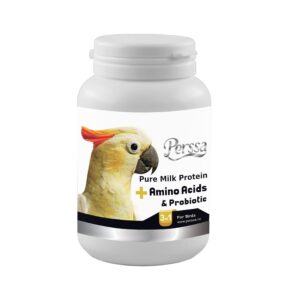 پودر اسید آمینه غنی شده با پروتئین خالص شیر پرندگان پرسا