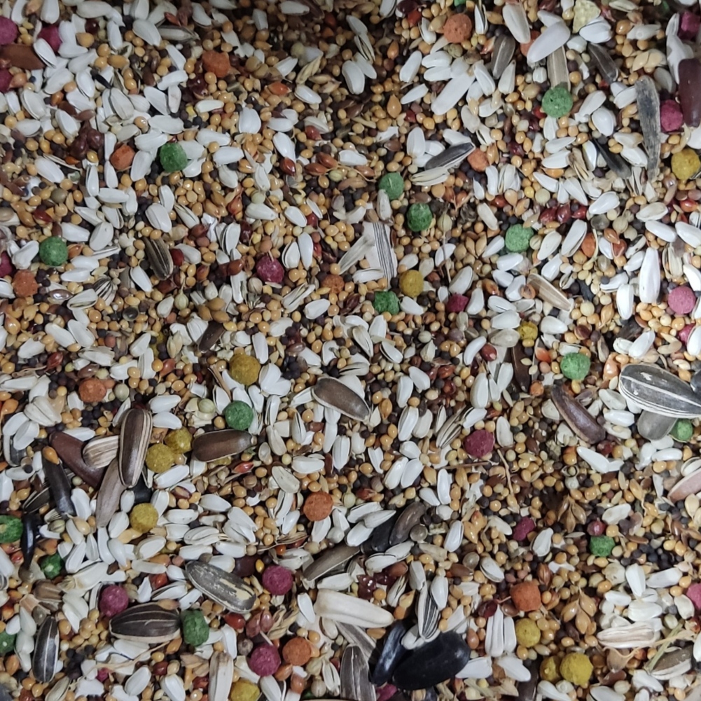 هفت تخمه دان پرنده شامل چیا می باشد ؟