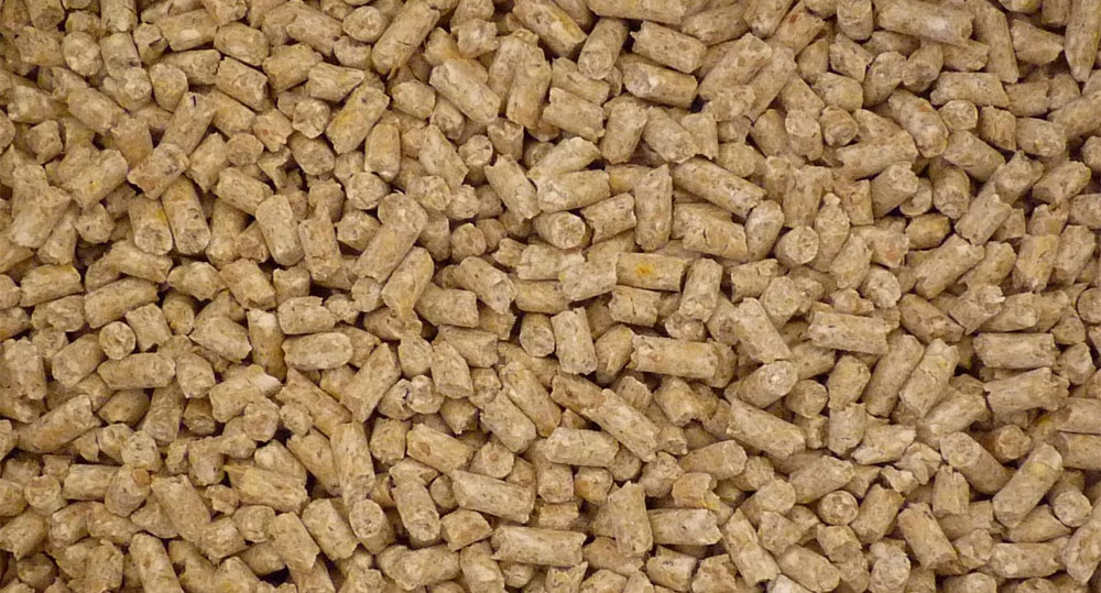 پلت غذای عروس هلندی چه می باشد؟